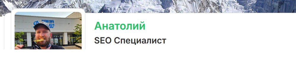 Профиль SEO-специалиста Анатолия на фриланс-площадке
